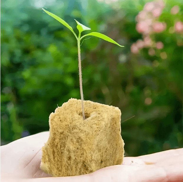 Doskonałe warunki do kiełkowania i wzrostu roślin dzięki PlantCore