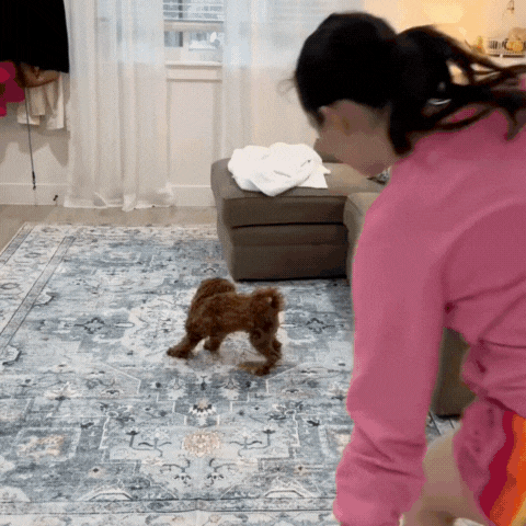 Zamiast maskować – usuń problem u źródła z EcoPurr™