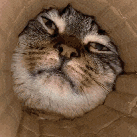 Zamiast maskować – usuń problem u źródła z EcoPurr™