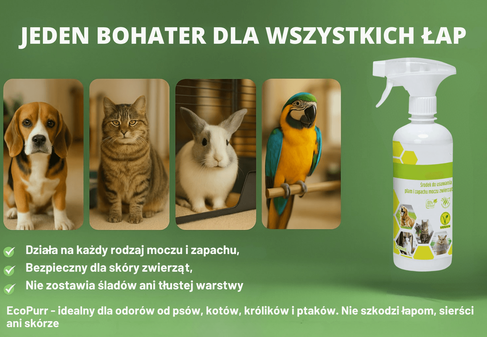 Zamiast maskować – usuń problem u źródła z EcoPurr™