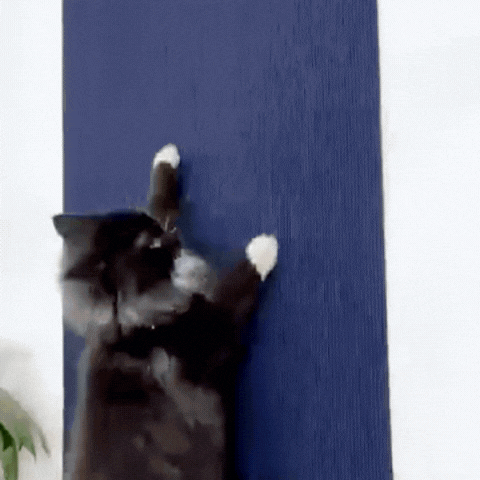 Meble bez zadrapań, kot bez stresu – idealna harmonia z MEMFLOW™