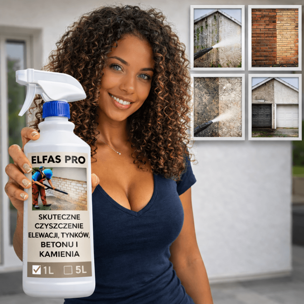 ELFASPRO - Przywróć elewacji jej naturalne piękno!